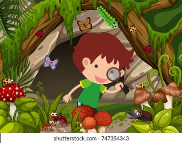 Boy looking at insects in the forest illustration