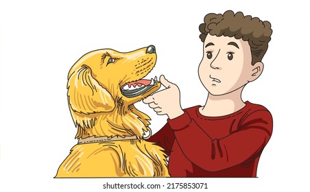 Boy looks at the teeth of an dog.