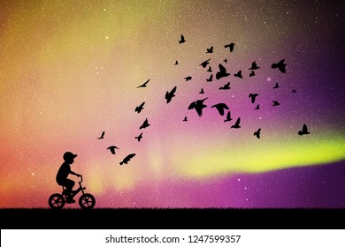Boy on bike and pigeons in park at night. Vector illustration with silhouettes of child on bicycle and flocks of birds. Northern lights in starry sky. Colorful aurora borealis