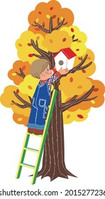 A boy on a ladder putting a birdhouse in a tree