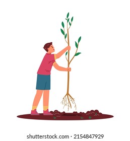 Boy planting tree flat vector illustration isolated on white. Kid holding tree seedling .