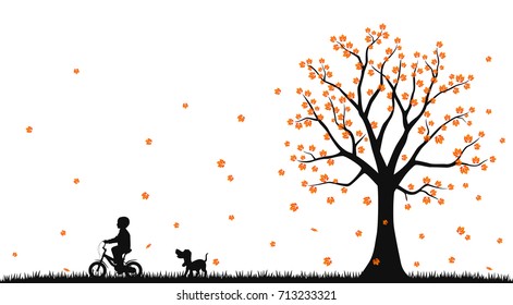 A boy rides a bicycle in the autumn park