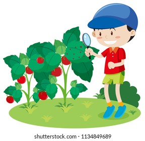 A boy searching for plant insect illustration