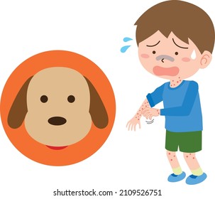 617 Dog rash Images, Stock Photos & Vectors | Shutterstock