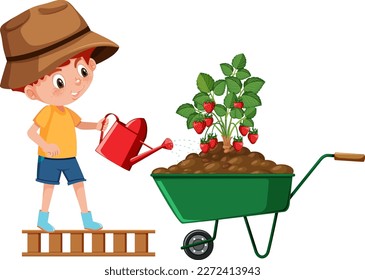 A boy watering strawberry plant in wheelbarrow illustration