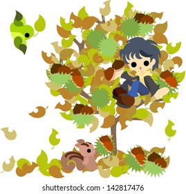 A boy who picks chestnuts with a squirrel.