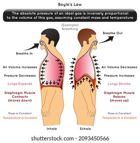 Boyle Law Infographic Diagram Example Breathing Stock Vector (Royalty ...