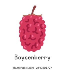 Boysenberry fruit flat vector illustration. Red boysenberry cartoon clipart style isolated on white background. Also known as Pwestern blackberry or western dewberry. Berry concept