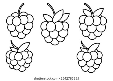 Boysenberry Line Art Illustration with Floral Details