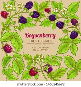 boysenberry vector frame  on color background
