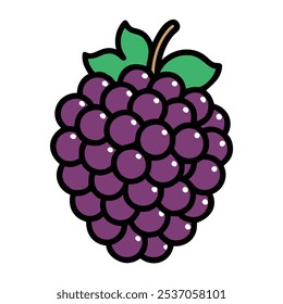 boysenberry vector illustration, fruit vector art