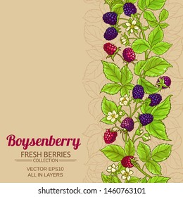 boysenberry vector pattern on color background