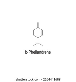 b-Phellandrene (alkene) chemical structure on white background - component of ecalyptus oil.