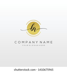 BR handwriting initial logo template vector.