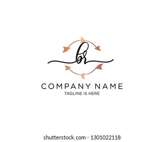 BR handwriting initial  logo vector