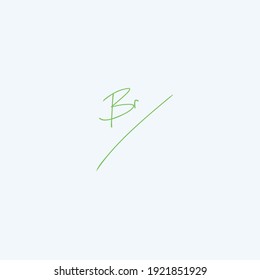 Br handwritten logo for identity