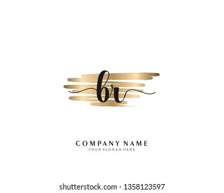  BR initial handwriting logo template vector