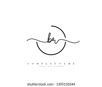 BR initial handwriting logo template vector