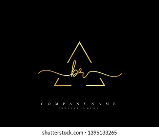 BR initial handwriting logo template vector