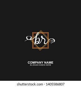 BR Initial handwriting logo vector