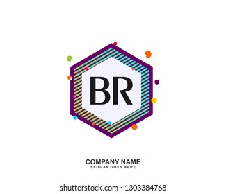 BR initial logo template vector