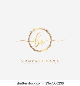 BR Initial luxury handwriting logo vector