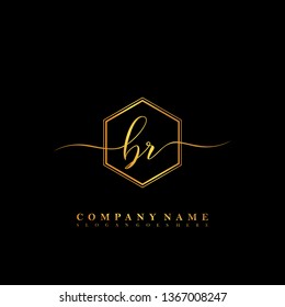 BR Initial luxury handwriting logo vector