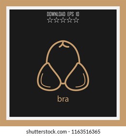 bra  vector icon