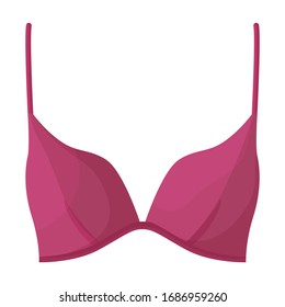 Bra vector icon.Cartoon vector icon isolated on white background bra.