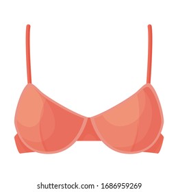 Bra vector icon.Cartoon vector icon isolated on white background bra.
