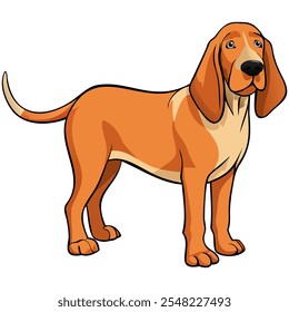 Bracco Italiano ilustração do vetor da raça do cão isolado no fundo branco no estilo do desenho animado.