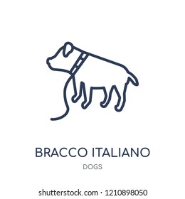 Bracco Italiano dog icon. Bracco Italiano dog linear symbol design from Dogs collection. Simple outline element vector illustration on white background.