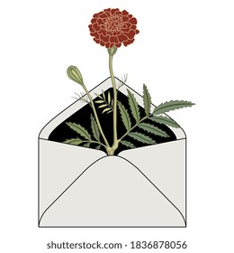 Brach of marigold flower in paper envelope. Creative botanical design.