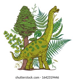 Brachiosaurus dinosaur hand drawn. Vector illustration. Herbivorous dinosaur.