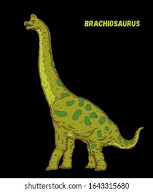 Brachiosaurus dinosaur hand drawn. Vector illustration. Herbivorous dinosaur.