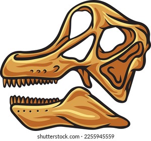 Brachiosaurus dinosaur skull fossil illustration