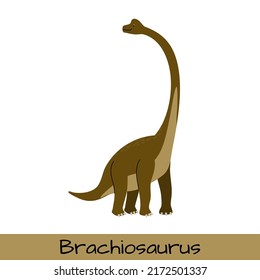 Brachiosaurus dinosaur vector illustration isolated on white background.