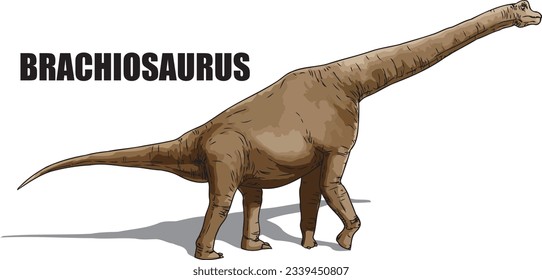 Brachiosaurus: Giant herbivorous dinosaur with long neck, small head, and front legs longer than hind legs. Lived during Late Jurassic, up to 40ft tall, 80 tons.