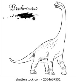 Brachiosaurus, realistic sketch dinosaur, vector illustration