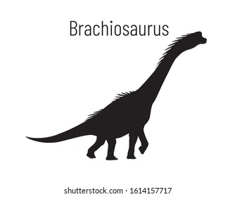 Brachiosaurus. Sauropodomorpha dinosaur. Monochrome vector illustration of silhouette of prehistoric creature brachiosaurus isolated on white background. Stencil. Huge fossil dinosaur.