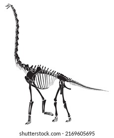 Brachiosaurus Silhouette Skeleton. One Of Diplodocus Family, Dinosaur Animal Tattoo Illustration