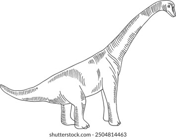 Brachiosaurus sketch. Ancient dinosaur. Jurassic wild reptile