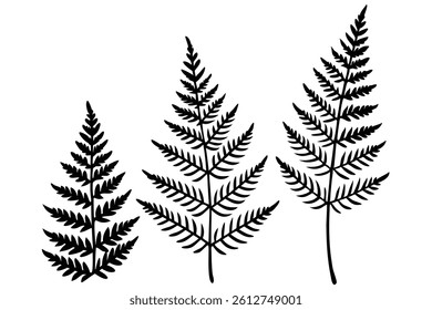 Bracken fern leaf line art illustration for print