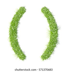 Bracket grass letter on a white background