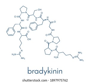 Bradykinin peptide molecule. Skeletal formula. svg