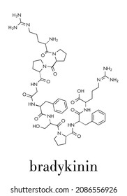 Bradykinin peptide molecule. Skeletal formula. svg