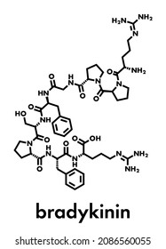 Bradykinin peptide molecule. Skeletal formula. svg