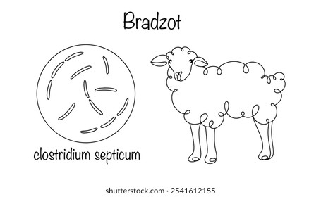 Bradzot. Doença infecciosa aguda dos ovinos, caracterizada por envenenamento rápido do corpo. Patógeno desenhado e ovelhas. Ilustração vetorial para diferentes usos. 