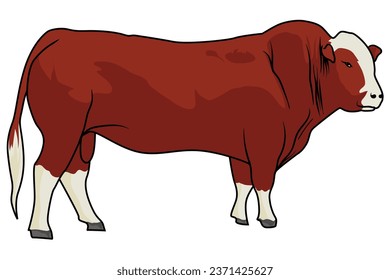 Brafford red bull vector set