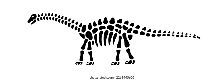Brahiosaurus skeleton. Brahiosaurus fossil body parts. Dinosaur bones. Dangerous ancient predator. Jurassic raptor. Prehistoric creature bones